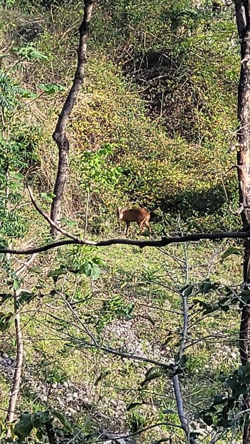 Nivasaa, The Nature'S Home Dehradun Exterior photo